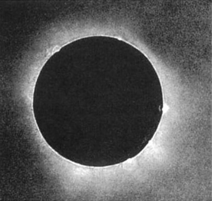 A close-up, historical solar eclipse photo revealing the sun's corona, one of many extraordinary captures.