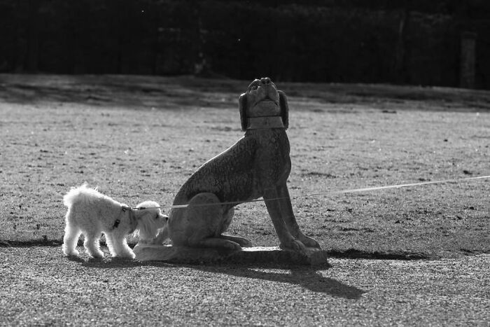 40 Striking Street Photos To Get You Ready For The Pure Street Photography Awards 2027