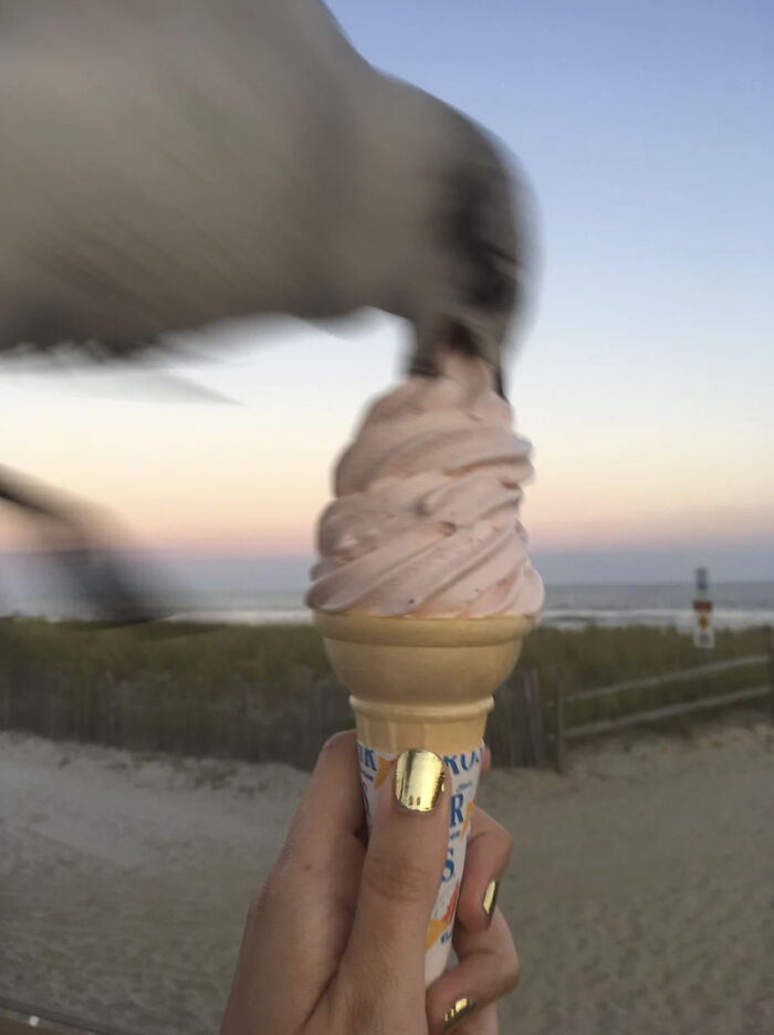 50 Perfectly Timed Animal Photos From This Online Collection That Are Almost Too Good To Be True