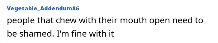 A Reddit user believes people who chew with their mouth open should be shamed on a plane.