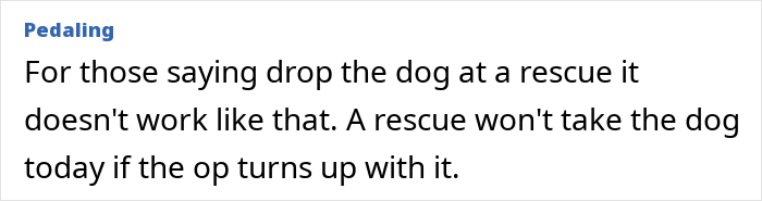 Neighbor Asks Couple To Watch Her Dog “For A Few Days,” Disappears When They Try To Return Him Neighbor Asks Couple To Watch Her Dog “For A Few Days,” Disappears When They Try To Return Him