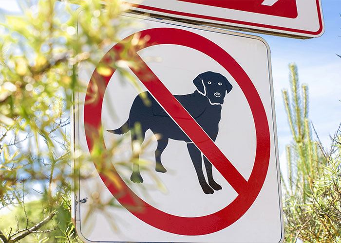 A circular sign with a red line through a black dog breeds silhouette, indicating a ban on dogs in UK. A circular sign with a red line through a black dog breeds silhouette, indicating a ban on dogs in UK.