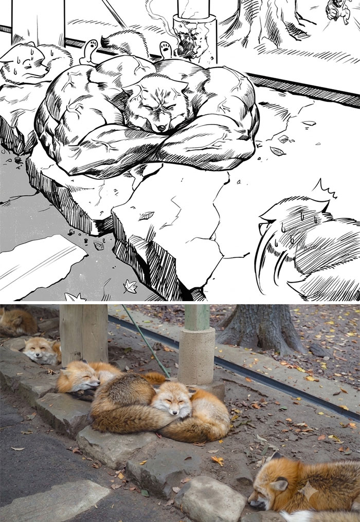 Behold The Swolefox