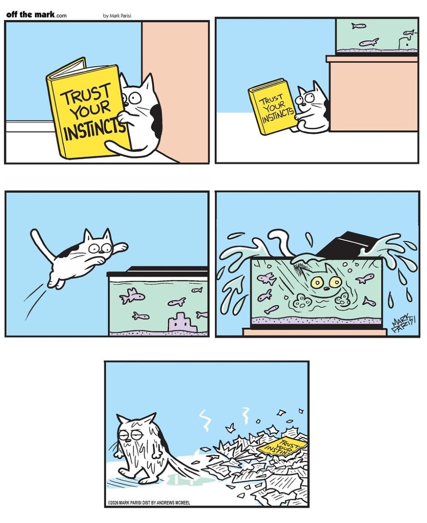 Cats Turn Everyday Chaos Into Comedy In These 36 New Cartoons By Mark Parisi