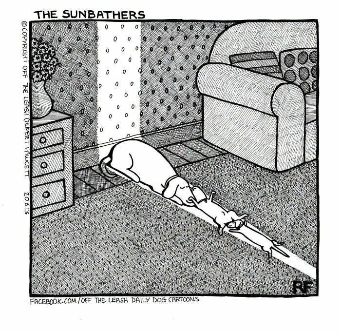 A comic showing dogs stretching out to sunbathe in a shaft of light, capturing life with dogs.