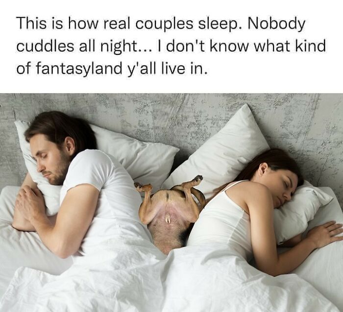 A couple and their dog toy sleeping in bed, illustrating a relatable meme about couples and dogs.