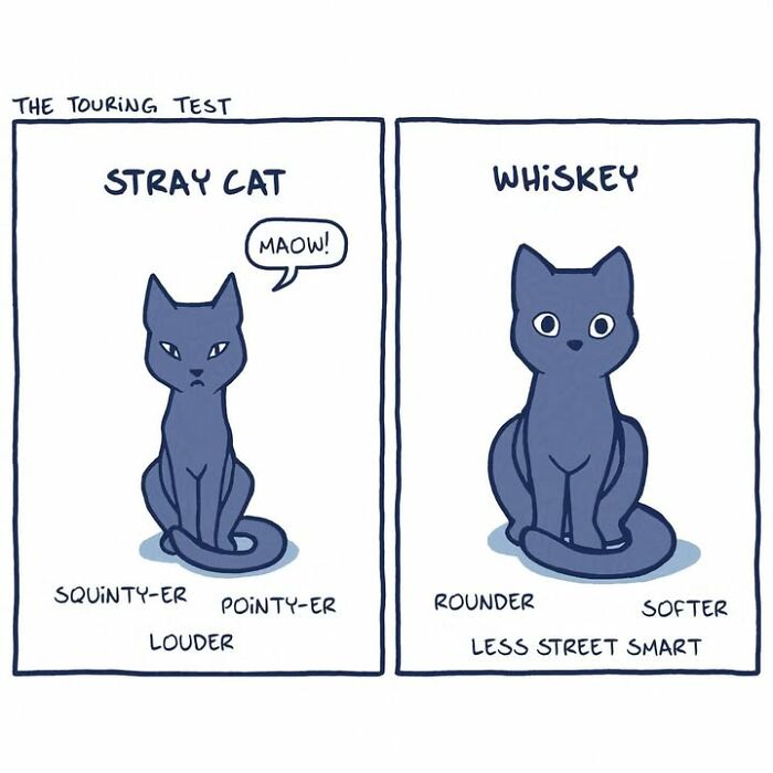 A comic series comparing a stray cat and an artist's cat Whiskey. Artist turned her unexpected bond with a stray cat into a heartwarming comic series. A comic series comparing a stray cat and an artist's cat Whiskey. Artist turned her unexpected bond with a stray cat into a heartwarming comic series.