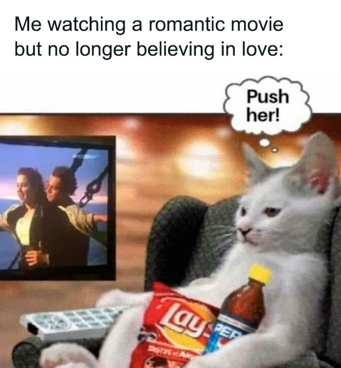 A sarcasm meme showing a cat watching a romantic movie, holding chips and soda, thinking Push her!