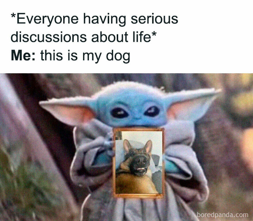 Baby Yoda holding up a picture of a smiling dog, illustrating a cute animal meme for anyone scrolling.