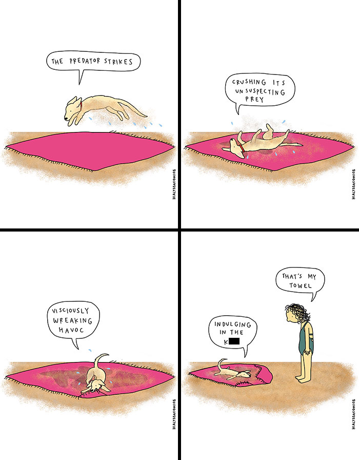 A comic showing a dog playfully attacking a towel while its owner watches, illustrating funny ordinary situations.