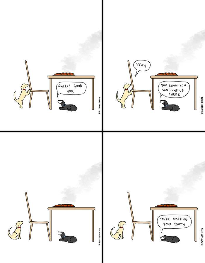 A comic with two dogs, one encouraging the other to jump for food on a table, highlighting funny ordinary situations.