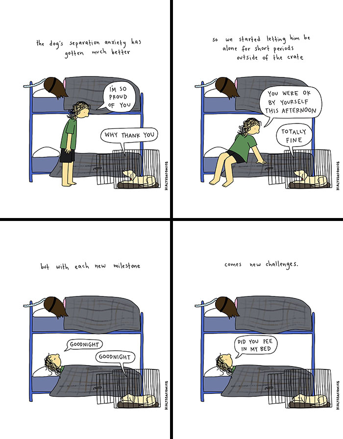 A comic depicting a person talking to their dog in a crate about its improved separation anxiety, finding funny side.