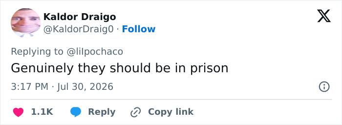 A tweet stating that individuals involved in the eBay campaign should be in prison, emphasizing the massive karma.