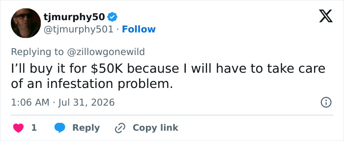 A Zillow listing comment offering to buy for $50K due to an infestation problem. A Zillow listing comment offering to buy for $50K due to an infestation problem.