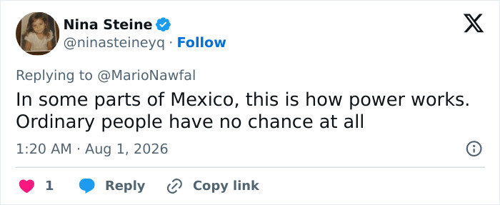A tweet from Nina Steine about how power works in Mexico, referencing the beauty influencer assassinated during livestream. A tweet from Nina Steine about how power works in Mexico, referencing the beauty influencer assassinated during livestream.
