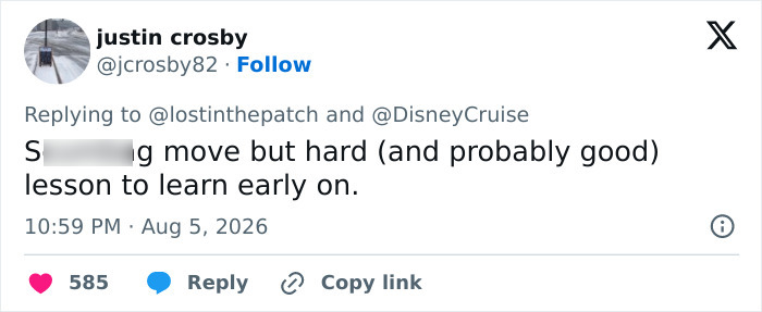 Another social media comment reflecting on the Disney Cruise passenger's situation and alleged scam.