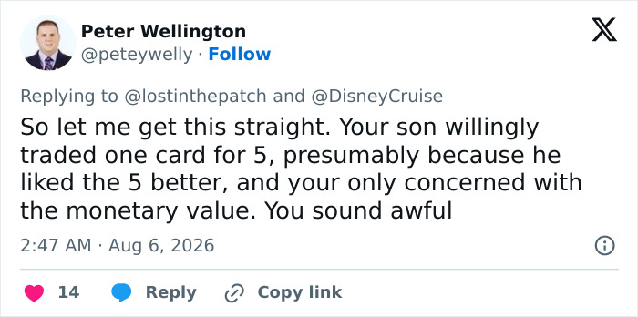 A tweet from Peter Wellington questioning the cruise passenger's concern about monetary value. Focuses on the Disney cruise passenger's son.