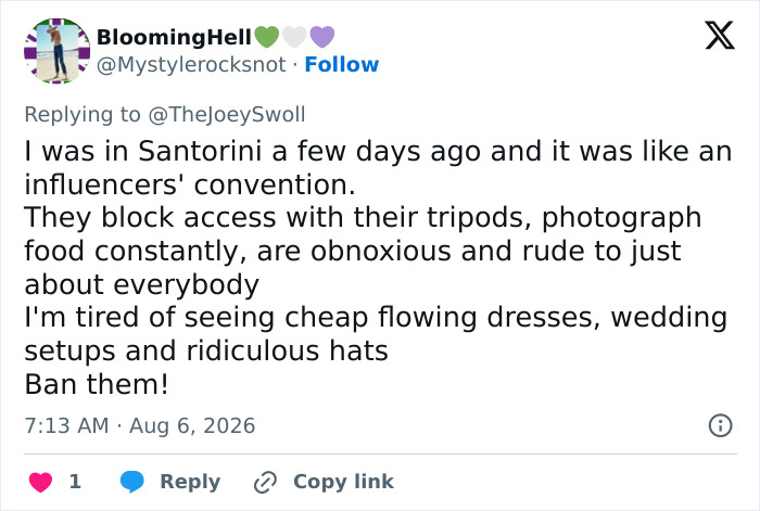 A detailed social media comment from BloomingHell describing negative experiences with influencers and their public filming. A detailed social media comment from BloomingHell describing negative experiences with influencers and their public filming.