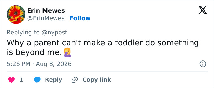 Erin Mewes tweet wondering why a parent can't make an unruly toddler fasten their seatbelt, leading to a flight cancellation. Erin Mewes tweet wondering why a parent can't make an unruly toddler fasten their seatbelt, leading to a flight cancellation.