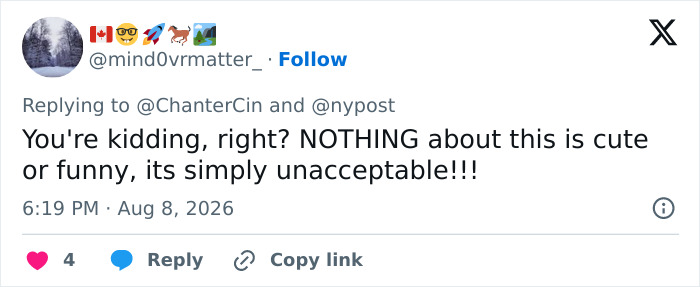 A social media comment about an unruly toddler causing a flight cancellation and stranding passengers. A social media comment about an unruly toddler causing a flight cancellation and stranding passengers.