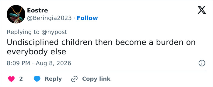 A social media comment about an unruly toddler incident, highlighting the burden of undisciplined children on a flight. A social media comment about an unruly toddler incident, highlighting the burden of undisciplined children on a flight.