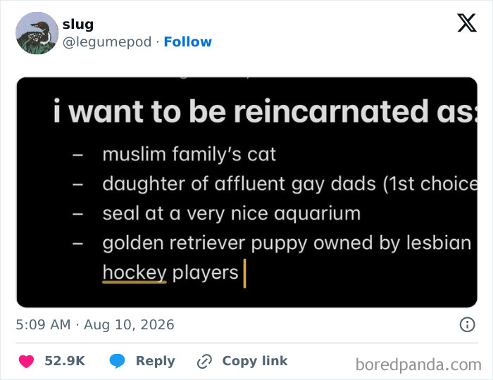 Funny tweets: a tweet listing reincarnation desires, including a golden retriever puppy.