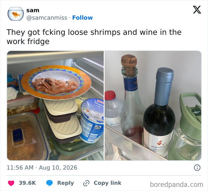 Funny tweets: a picture of loose shrimp and wine in a work fridge.