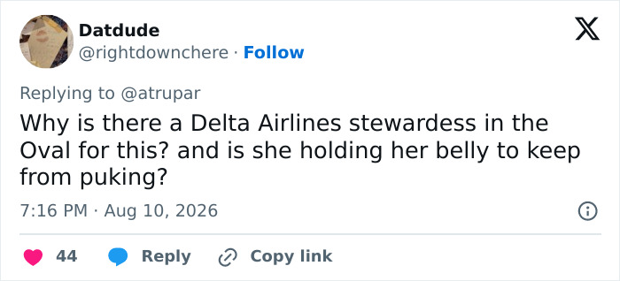 Tweet by Datdude questioning a Delta Airlines stewardess's presence and gesture, holding her belly. Tweet by Datdude questioning a Delta Airlines stewardess's presence and gesture, holding her belly.