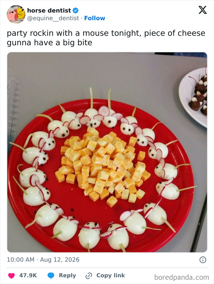 A funny tweet from August showing a red plate with cheese cubes surrounded by egg mice. horse dentist says, party rockin with a mouse tonight, piece of cheese gunna have a big bite.