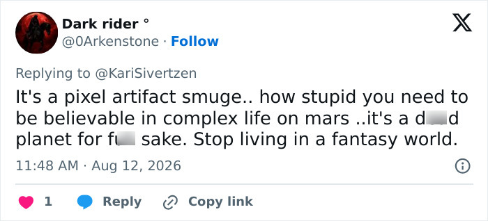 A tweet by Dark rider calling the supposed Jellyfish in the NASA Mars photo a pixel artifact smudge. A tweet by Dark rider calling the supposed Jellyfish in the NASA Mars photo a pixel artifact smudge.