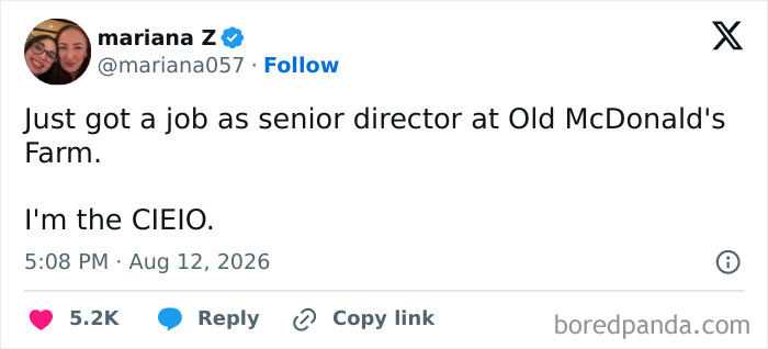 A funny tweet by Mariana Z about her new job as CIEIO at Old McDonald's Farm, keeping up the good mood.