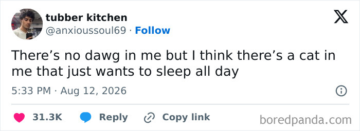 A funny tweet from August where tubber kitchen says, There's no dawg in me but I think there's a cat in me that just wants to sleep all day.