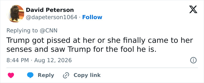 A social media comment from David Peterson, speculating on Karoline Leavitt's exit as press secretary.