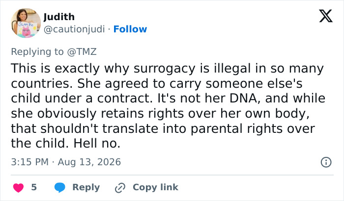 A tweet explains why surrogacy is illegal in many countries, referencing the surrogate who gave birth. A tweet explains why surrogacy is illegal in many countries, referencing the surrogate who gave birth.
