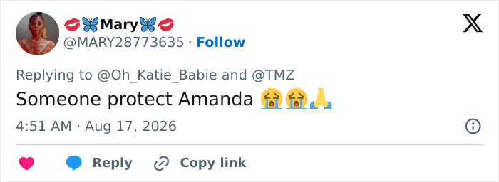 A fan comment on Hayden Panettiere's passing sparks dark theory, asking for protection for Amanda. A fan comment on Hayden Panettiere's passing sparks dark theory, asking for protection for Amanda.