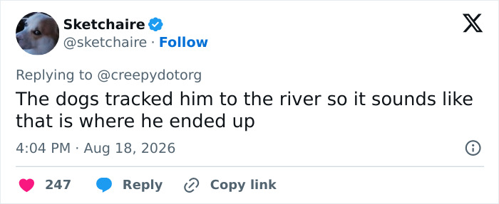 A screenshot of a tweet with a profile picture of a dog, reading 'The dogs tracked him to the river so it sounds like that is where he ended up.' This relates to the car crash and unexplained event.