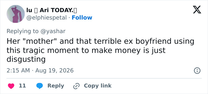 A tweet expressing fury over Hayden Panettiere's mom and ex-boyfriend using a tragic moment. A tweet expressing fury over Hayden Panettiere's mom and ex-boyfriend using a tragic moment.