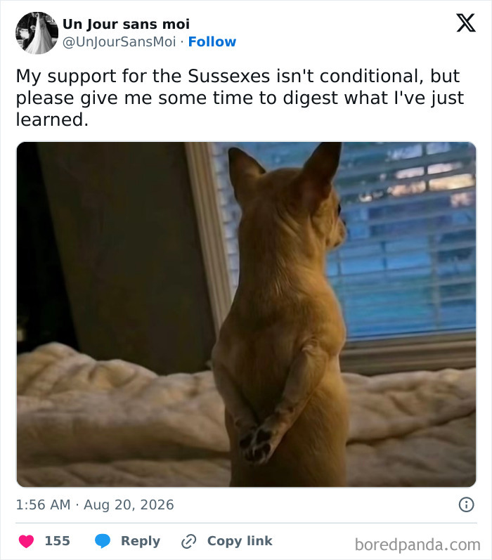 A social media post with a small dog looking out a window, expressing support for the Sussexes and needing time to digest news about Meghan Markle and Prince Harry.