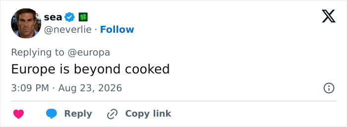 A social media comment saying Europe is beyond cooked about a conservative politician and provocative necklace. A social media comment saying Europe is beyond cooked about a conservative politician and provocative necklace.