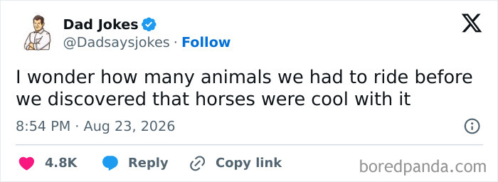 Screenshot of a funny tweet from Dad Jokes about horses, bringing good mood and humor.