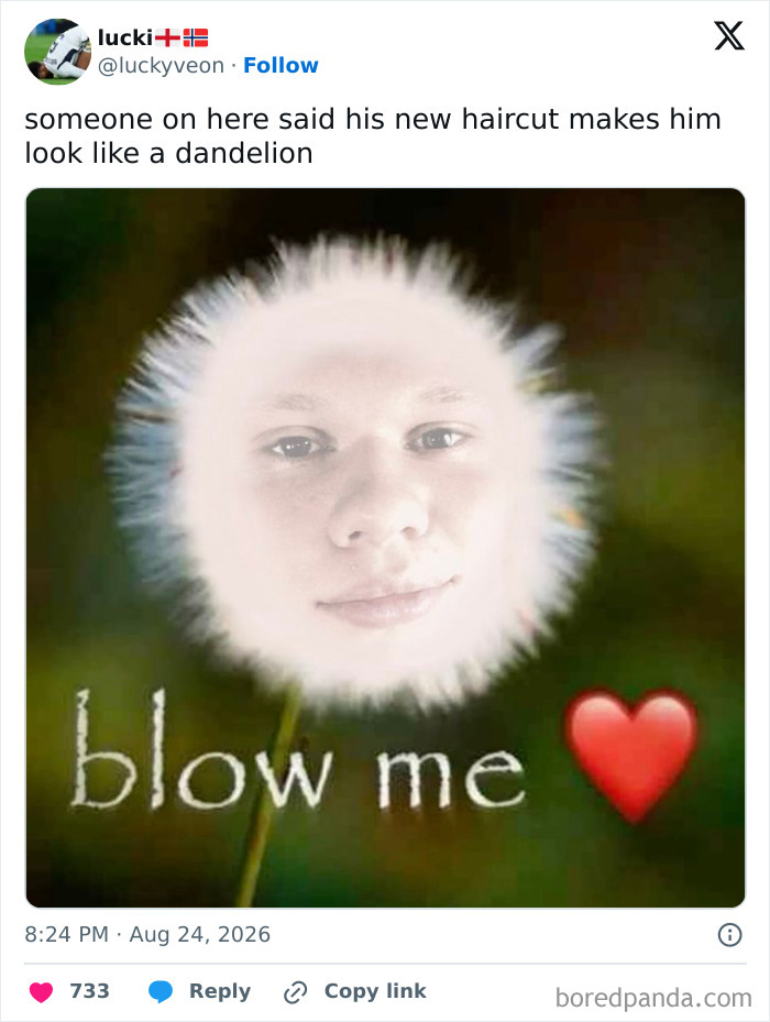 Meme of Erling Haaland's face on a dandelion with the text blow me, comparing his haircut to a dandelion.
