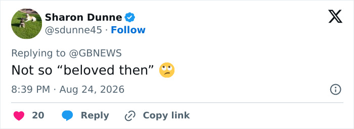 A tweet from Sharon Dunne saying Not so beloved then with a thinking emoji. Concerns for kids. A tweet from Sharon Dunne saying Not so beloved then with a thinking emoji. Concerns for kids.