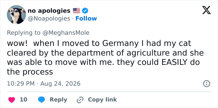 A tweet about Meghan Markle's return to UK, detailing pet moving procedures for moving cats to Germany. A tweet about Meghan Markle's return to UK, detailing pet moving procedures for moving cats to Germany.