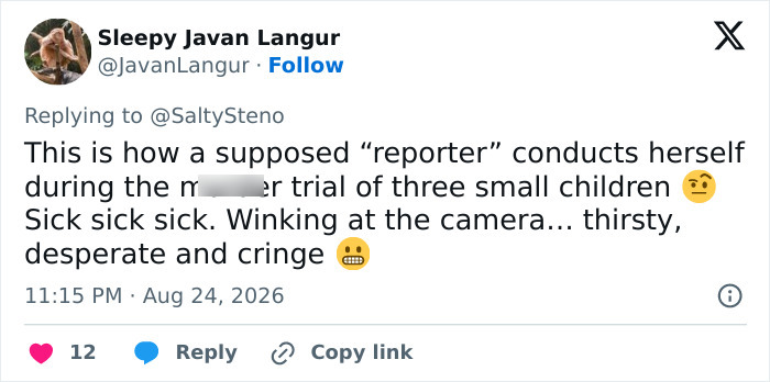 Screenshot of a tweet from Sleepy Javan Langur criticizing the Green Dress Lady's conduct during the Lindsay Clancy trial. Screenshot of a tweet from Sleepy Javan Langur criticizing the Green Dress Lady's conduct during the Lindsay Clancy trial.
