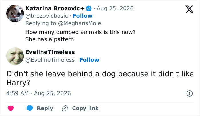 Screenshot of social media comments about Meghan Markle and concern for her kids. Screenshot of social media comments about Meghan Markle and concern for her kids.