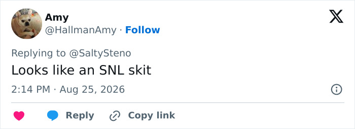 Screenshot of a tweet from Amy comparing the Green Dress Lady's viral video to an SNL skit. Screenshot of a tweet from Amy comparing the Green Dress Lady's viral video to an SNL skit.