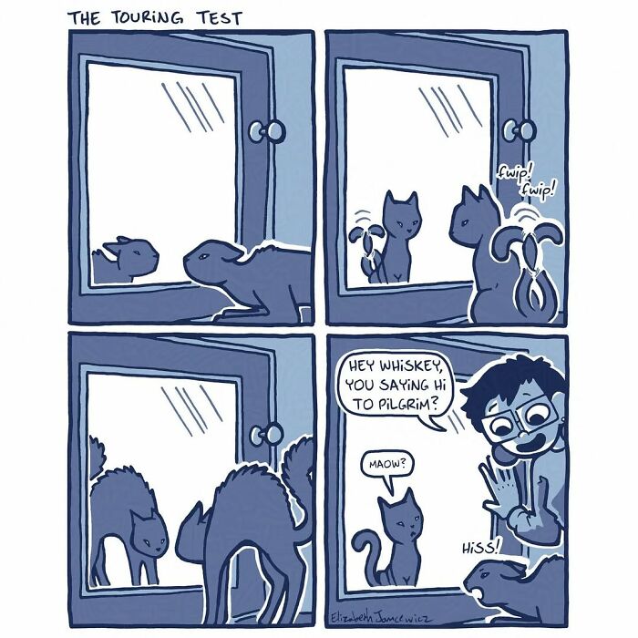 A heartwarming comic series showing an artist introducing a stray cat to their other cat through a window. A heartwarming comic series showing an artist introducing a stray cat to their other cat through a window.