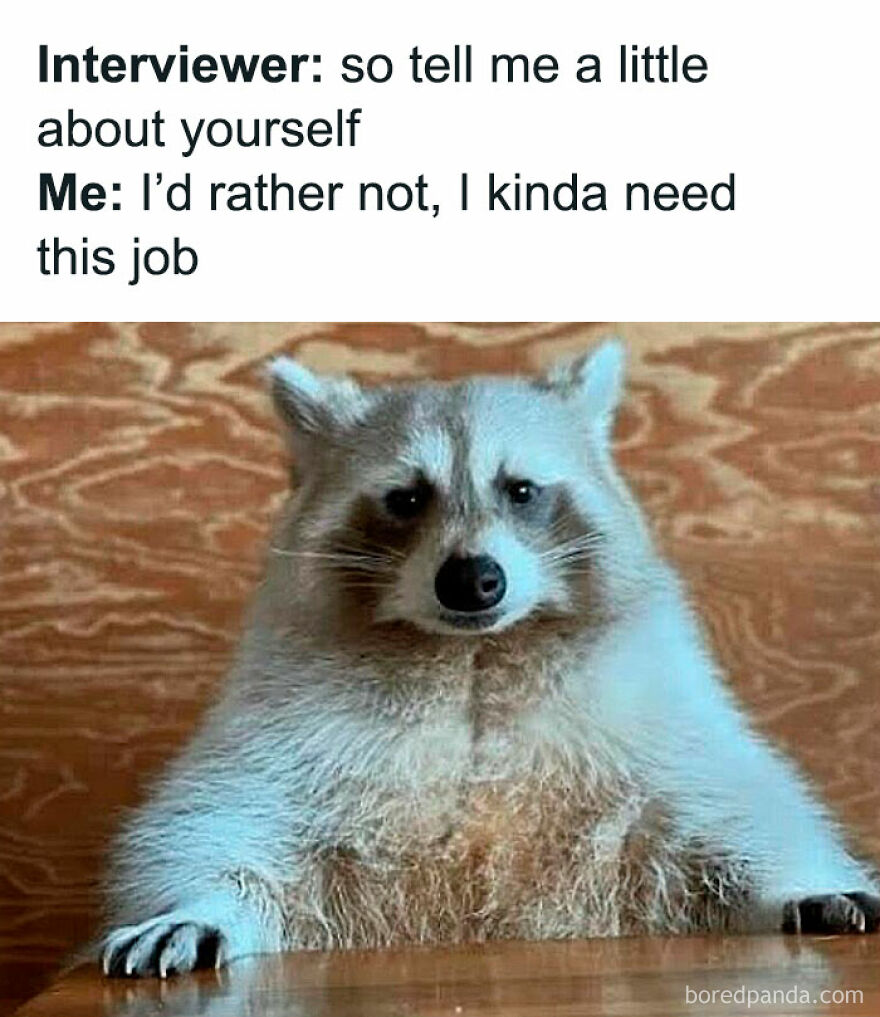 A meme with a sad raccoon sitting at a table, representing an animal meme for anyone scrolling.