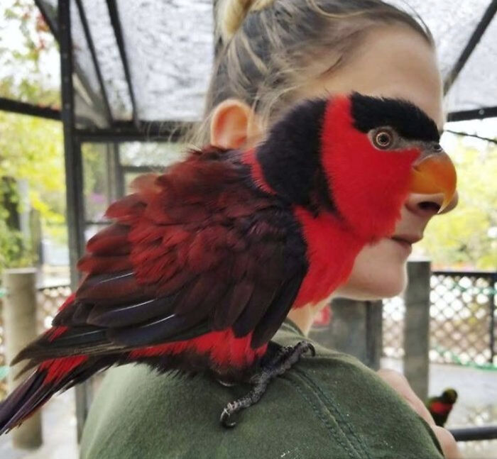 50 Perfectly Timed Animal Photos From This Online Collection That Are Almost Too Good To Be True