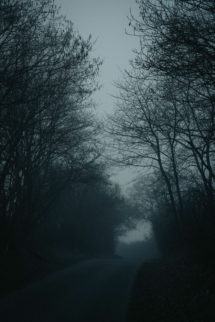 48 Campers Share The Creepiest Things They've Ever Experienced
